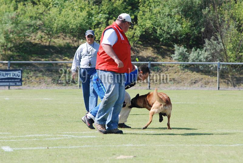 3 EME SELECTIF 2009 GRANDE SYNTHE 474.jpg